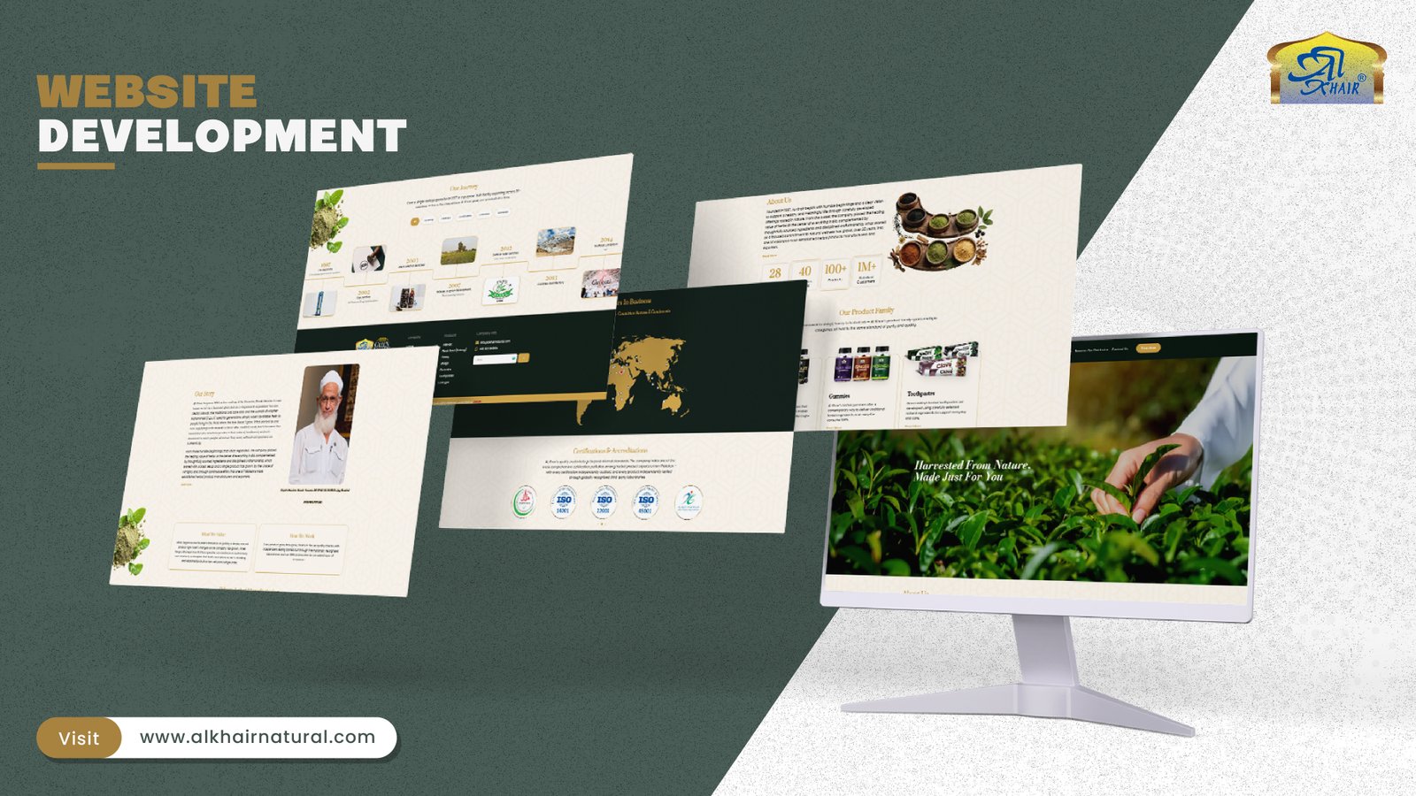 Portfolio project 7
